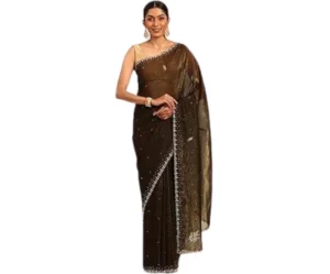 Chinon Stone Work Saree (Blouse), MOHEY