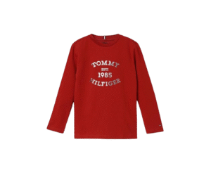 Tommy Hilfiger Boy's Letter Print Regular Fit T-Shirt