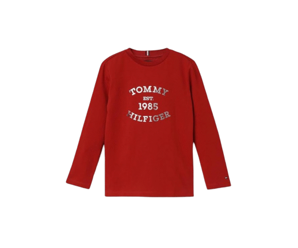 Tommy Hilfiger Boy's Letter Print Regular Fit T-Shirt