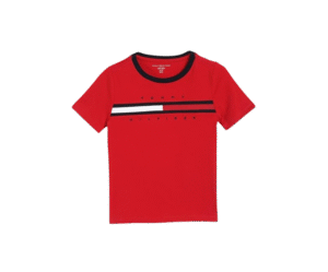 Tommy Hilfiger Boy's Regular Fit T-Shirt