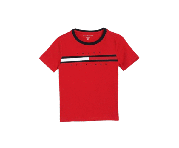Tommy Hilfiger Boy's Regular Fit T-Shirt