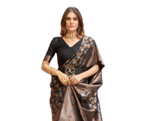 SWORNOF Womens Kanjivaram Silk Saree