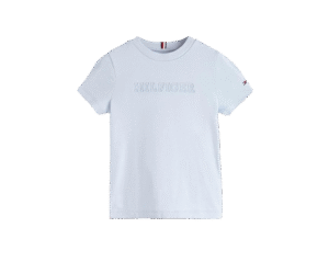 Tommy Hilfiger Boys Cotton Letter Print Regular Fit T-Shirt