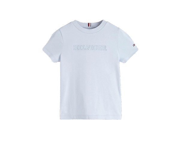 Tommy Hilfiger Boys Cotton Letter Print Regular Fit T-Shirt