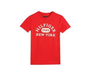Tommy Hilfiger Boys Cotton Regular Fit T-Shirt