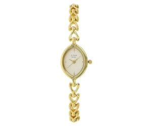 Women's Watch, Titan Raga, Brass Gold Strap, 1 Year Warranty