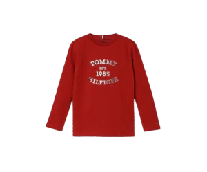 Tommy Hilfiger Boy's Letter Print Regular Fit T-Shirt