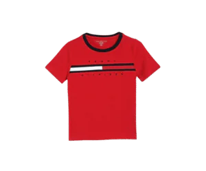 Tommy Hilfiger Boy's Regular Fit T-Shirt