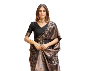 SWORNOF Womens Kanjivaram Silk Saree