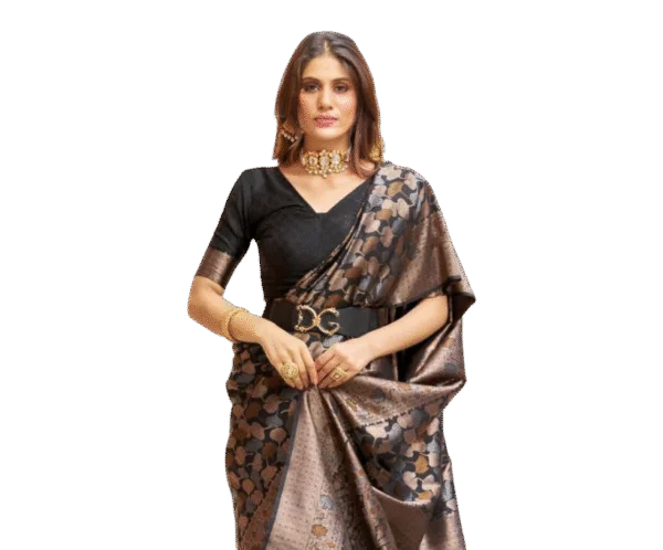 SWORNOF Womens Kanjivaram Silk Saree
