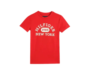 Tommy Hilfiger Boys Cotton Regular Fit T-Shirt