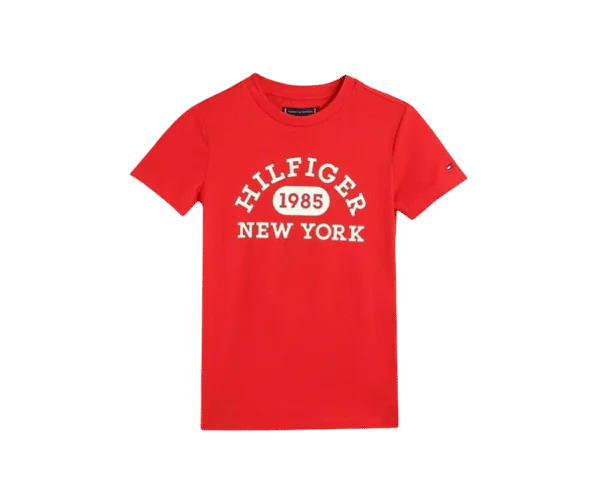Tommy Hilfiger Boys Cotton Regular Fit T-Shirt